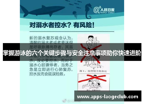 掌握游泳的六个关键步骤与安全注意事项助你快速进阶