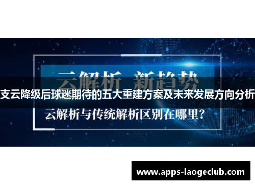 支云降级后球迷期待的五大重建方案及未来发展方向分析