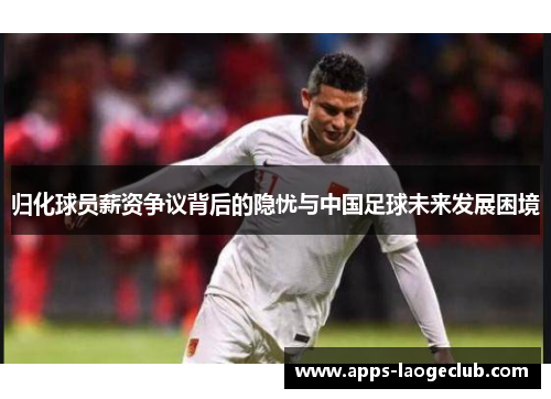 归化球员薪资争议背后的隐忧与中国足球未来发展困境