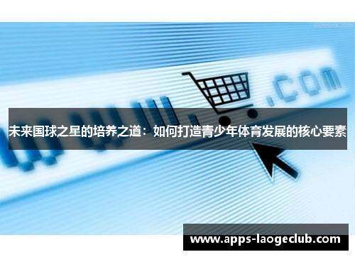 未来国球之星的培养之道：如何打造青少年体育发展的核心要素