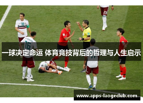 一球决定命运 体育竞技背后的哲理与人生启示