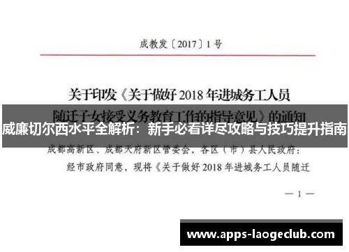 威廉切尔西水平全解析：新手必看详尽攻略与技巧提升指南