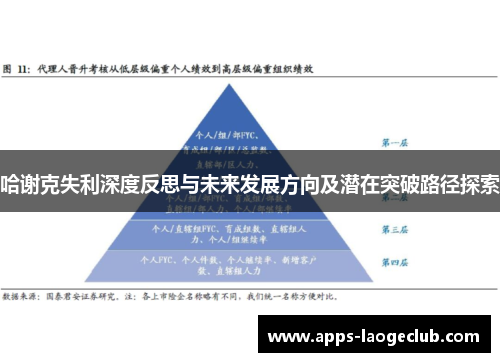 哈谢克失利深度反思与未来发展方向及潜在突破路径探索