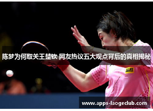 陈梦为何取关王楚钦 网友热议五大观点背后的真相揭秘