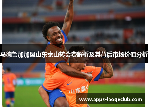马德鲁加加盟山东泰山转会费解析及其背后市场价值分析