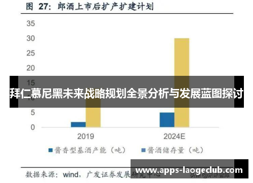 拜仁慕尼黑未来战略规划全景分析与发展蓝图探讨