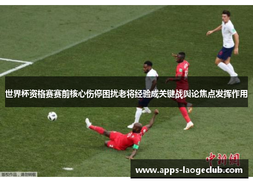 世界杯资格赛赛前核心伤停困扰老将经验成关键战舆论焦点发挥作用