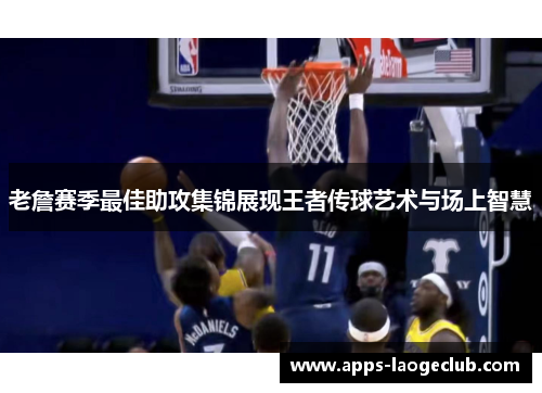 老詹赛季最佳助攻集锦展现王者传球艺术与场上智慧