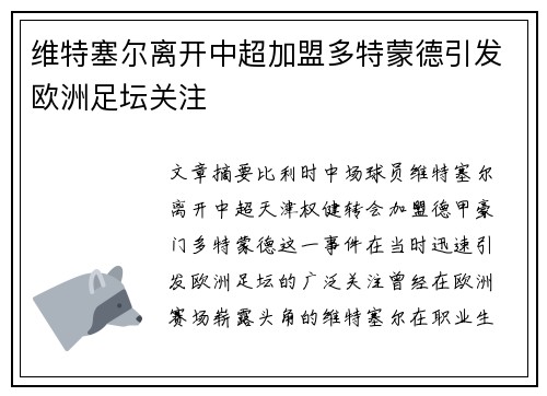 维特塞尔离开中超加盟多特蒙德引发欧洲足坛关注